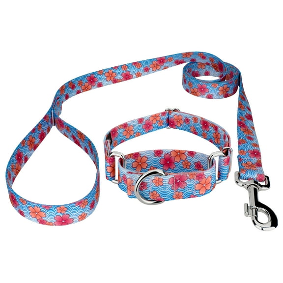 Country Brook Petz® Pink April Blossoms Martingale Dog Collar and Leash, 2XS