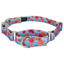 Country Brook Petz® Pink April Blossoms Martingale with Premium Buckle, Extra Large