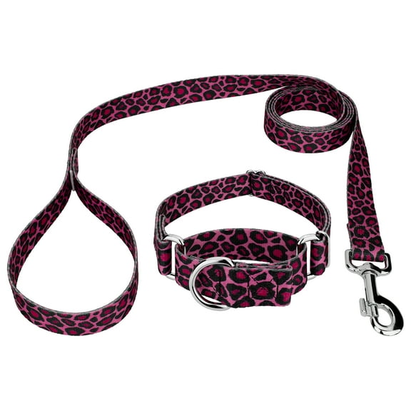 Country Brook Petz® Pink Leopard Print Martingale Dog Collar and Leash, 2XS