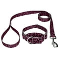 thumbnail image 1 of Country Brook Petz® Pink Leopard Print Martingale Dog Collar and Leash, Small, 1 of 6