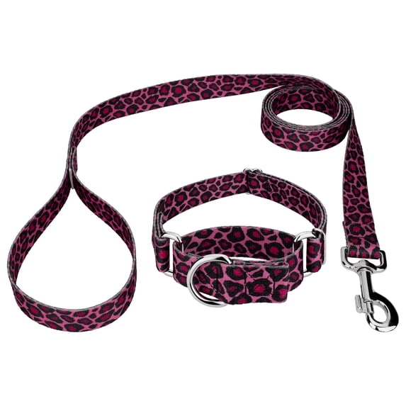 Country Brook Petz® Pink Leopard Print Martingale Dog Collar and Leash, Small