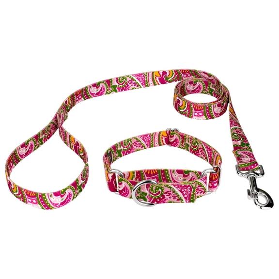 Country Brook Petz® Pink Paisley Martingale Dog Collar and Leash, Extra Small