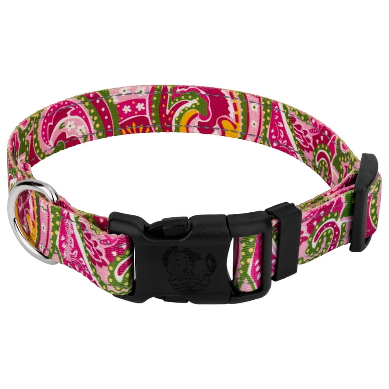 Country Brook Petz Pink Paisley Reflective Dog Collar, Large photo 1