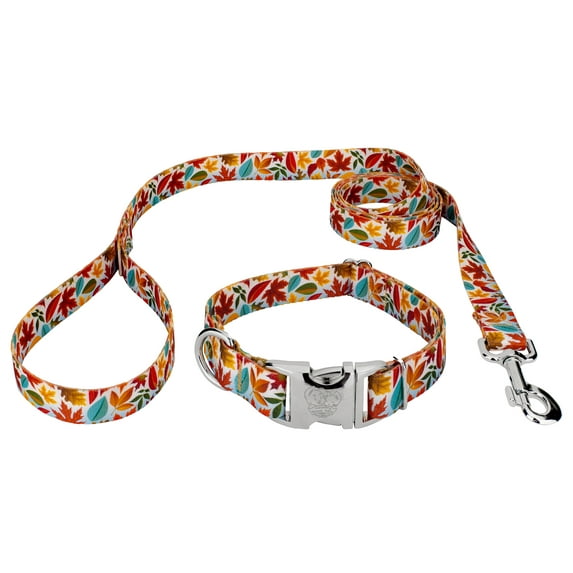 Country Brook Petz® Premium Brisk Autumn Dog Collar and Leash, Medium