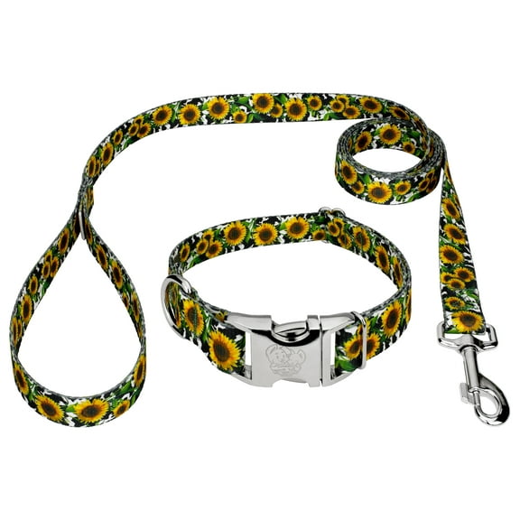 Country Brook Petz® Premium Dairy Fields Dog Collar and Leash, Large