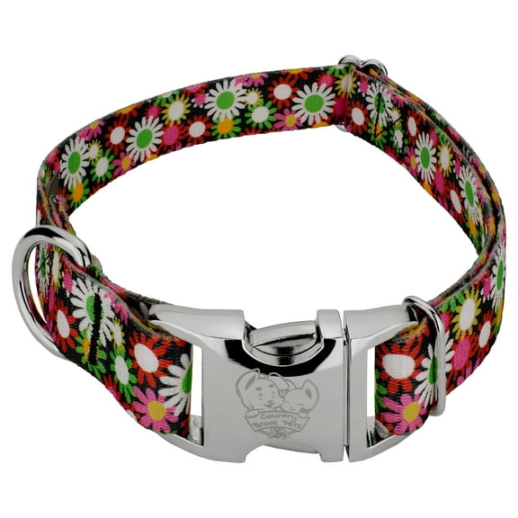 Country Brook Petz® Premium Daisy Fields Dog Collar, Large
