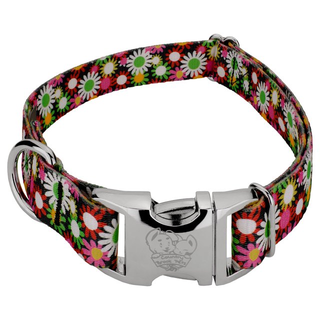Country Brook Petz® Premium Daisy Fields Dog Collar, Small