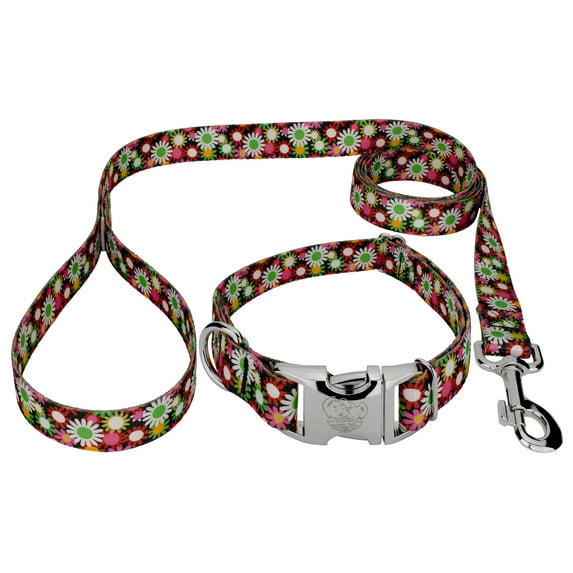 Country Brook Petz® Premium Daisy Fields Dog Collar and Leash, Extra Large