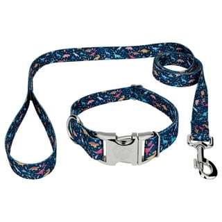Dinosaur dog collar cheap