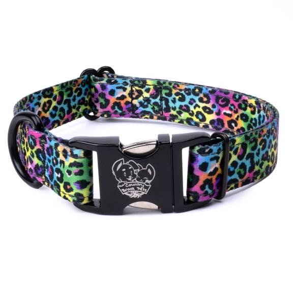 Country Brook Petz® Premium Electric Leopard Reflective Dog Collar, Small