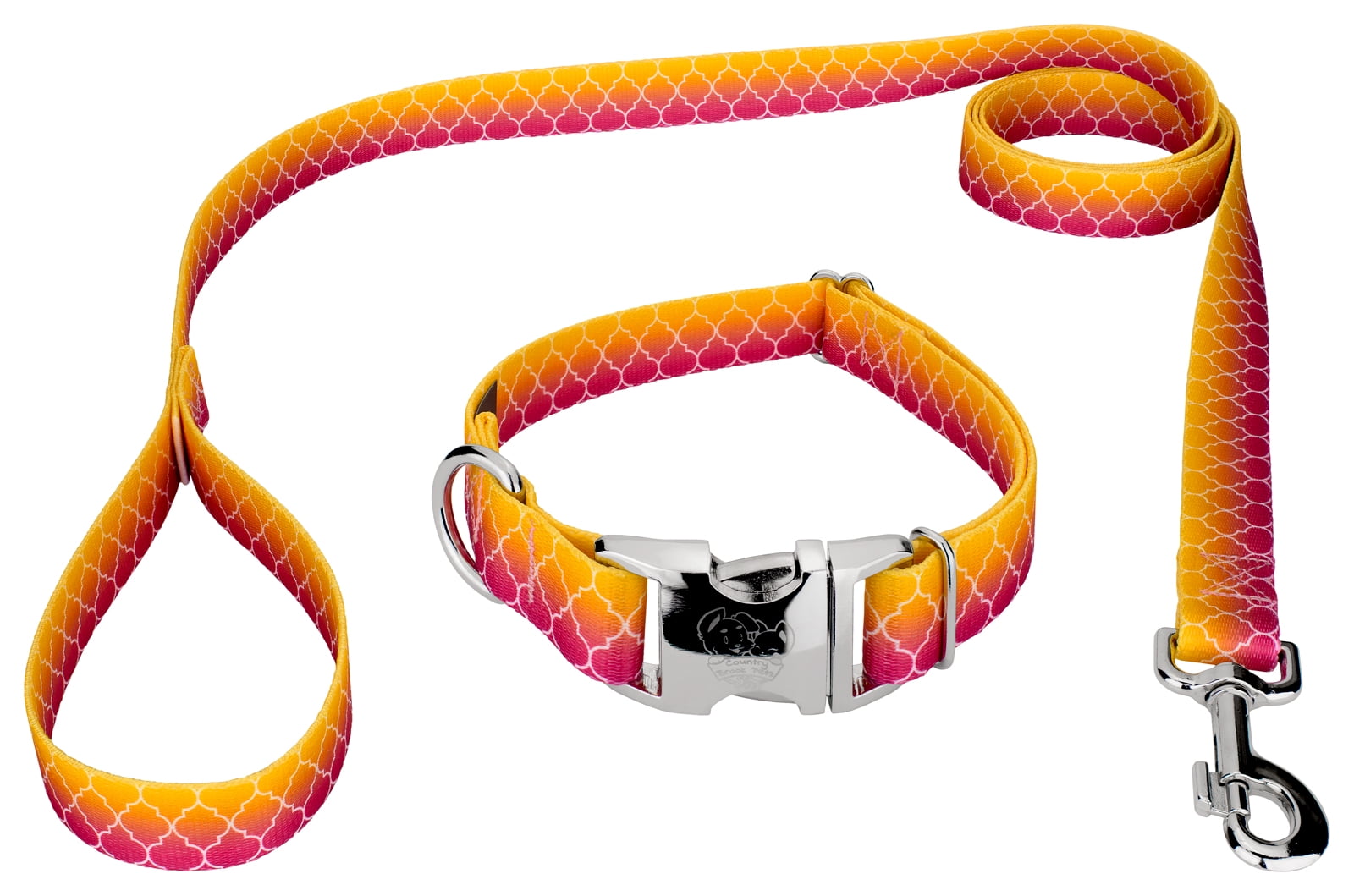 Ombre dog collar 2025
