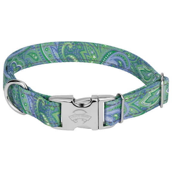 Country Brook Petz® Premium Green Paisley Reflective Dog Collar, Extra Large