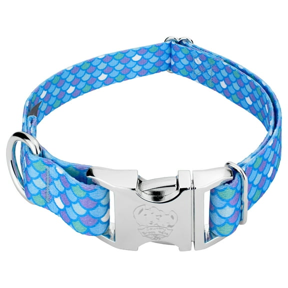 Country Brook Petz® Premium Mermaid Scales Dog Collar, Large