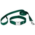 thumbnail image 1 of Country Brook Petz® Premium Nylon Dog Collar and Leash - Green, Large, 1 of 7