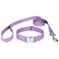 thumbnail image 1 of Country Brook Petz® Premium Nylon Dog Collar and Leash - Lavender, Large, 1 of 7