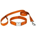 thumbnail image 1 of Country Brook Petz® Premium Nylon Dog Collar and Leash - Orange, Large, 1 of 7