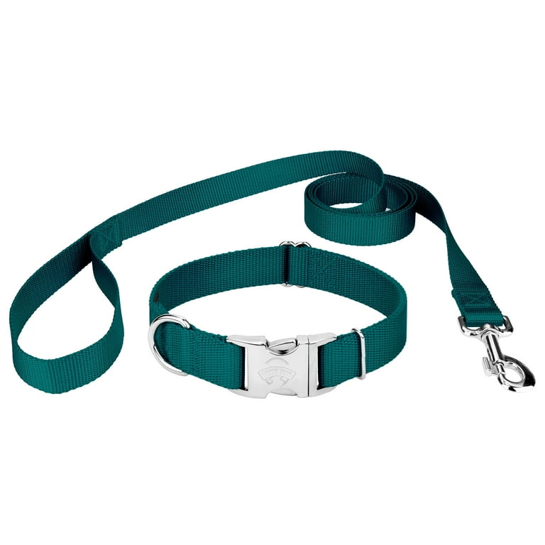 Teal 2025 dog collars