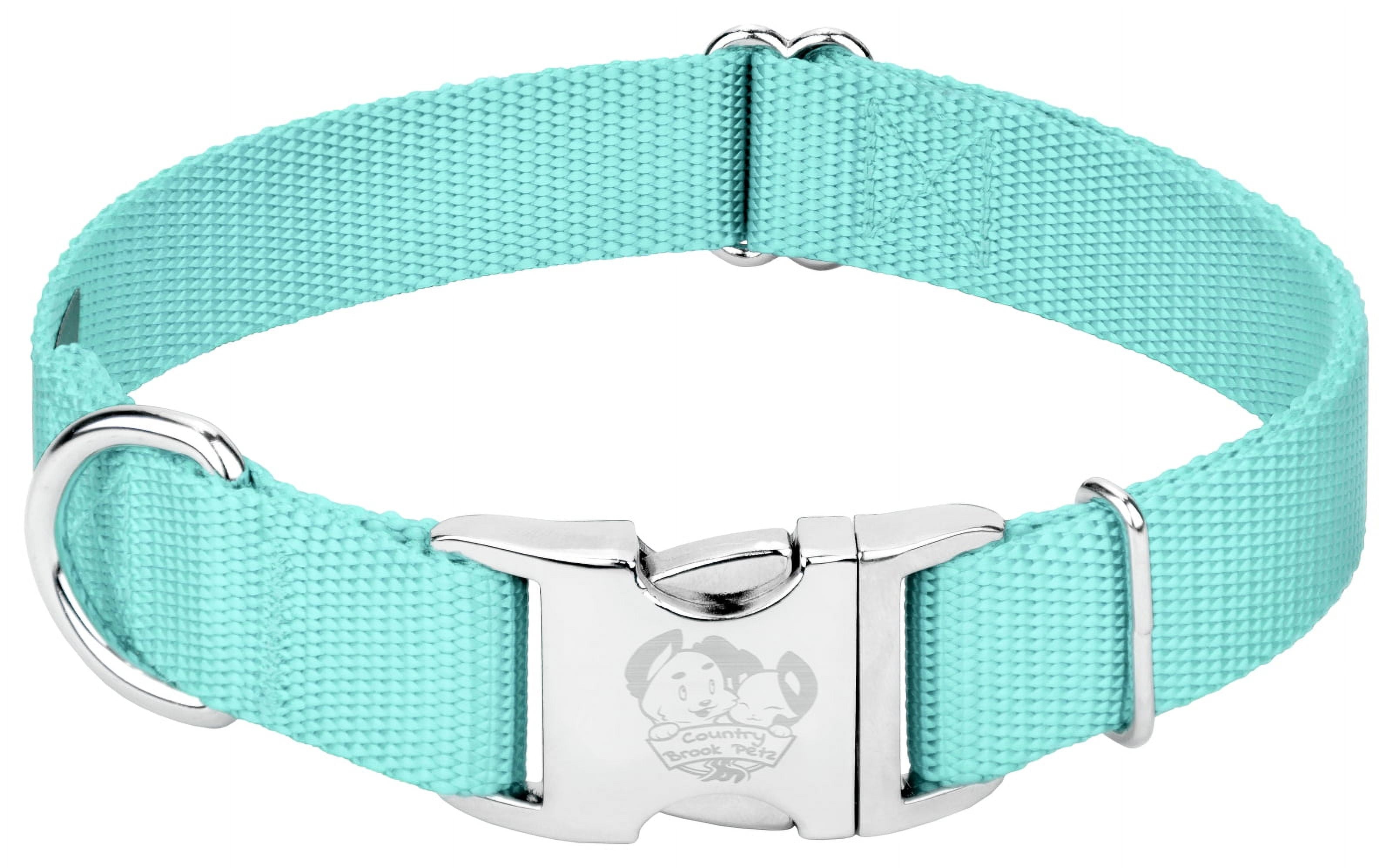 Country Brook Petz® Premium Nylon Dog Collar with Metal Buckle for Small Medium Large Breeds (Extra Large, 1 Inch, Light Cyan)
