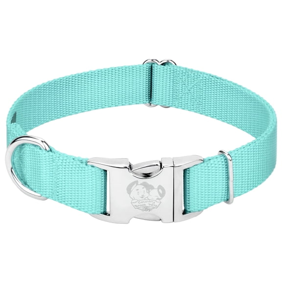 Country Brook Petz® Premium Nylon Dog Collar with Metal Buckle for Small Medium Large Breeds (Large, 1 Inch, Light Cyan)