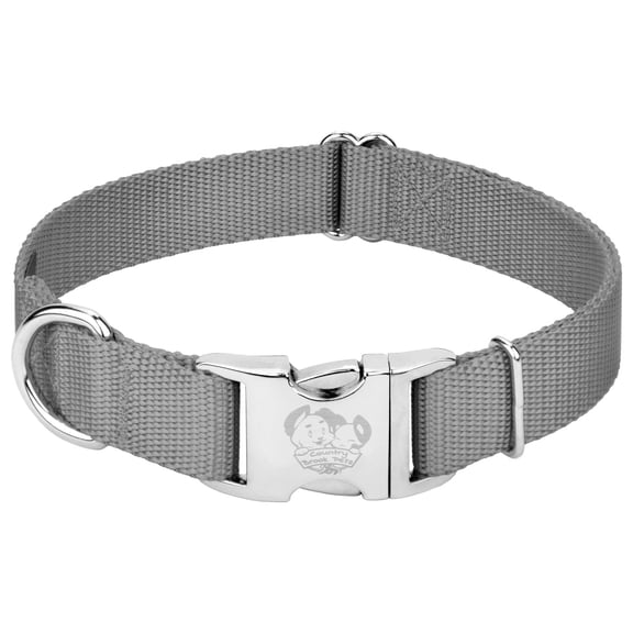 Country Brook PetzĀ® Premium Nylon Dog Collar with Metal Buckle for Small Medium Large Breeds (Large, 1 Inch, Silver)