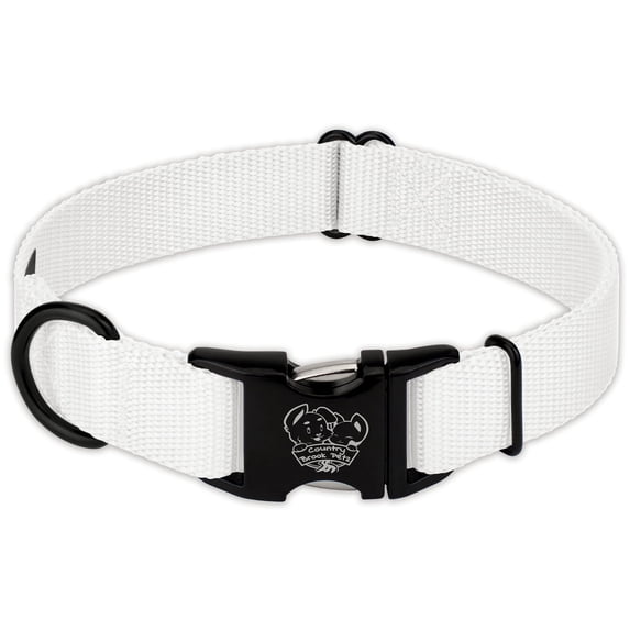 Country Brook Petz® Premium Nylon Dog Collar with Metal Buckle for Small Medium Large Breeds (Small, 3/4 Inch, White)