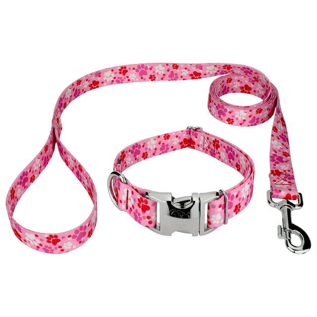 Country Brook Petz® Premium Puppy Love Dog Collar and Leash, Extra Large