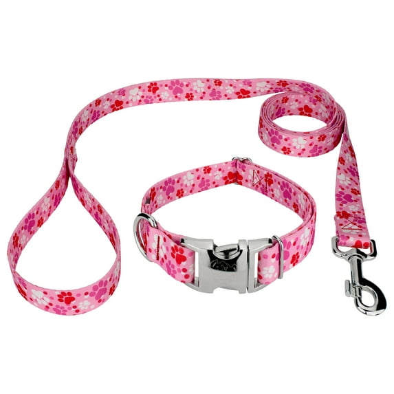 Country Brook Petz® Premium Puppy Love Dog Collar and Leash, Medium