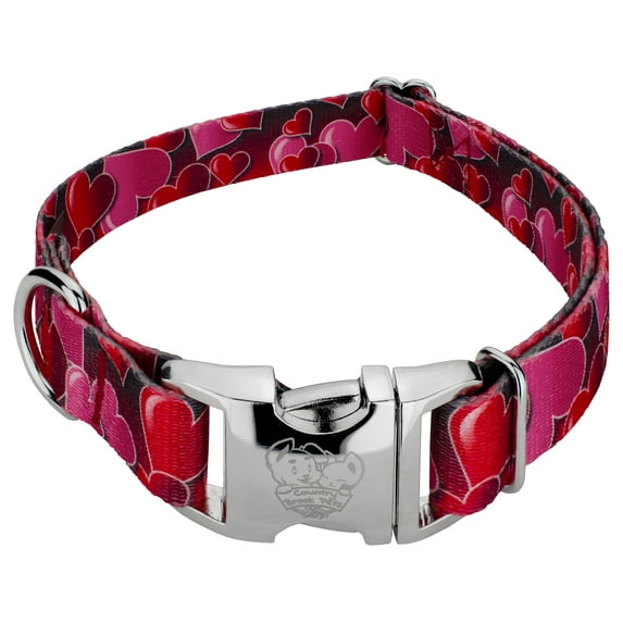 Country Brook Petz® Premium Romantic Hearts Dog Collar, Large