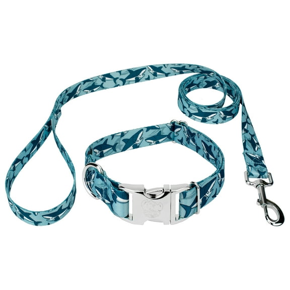 Country Brook Petz® Premium Sharks Dog Collar and Leash, Medium