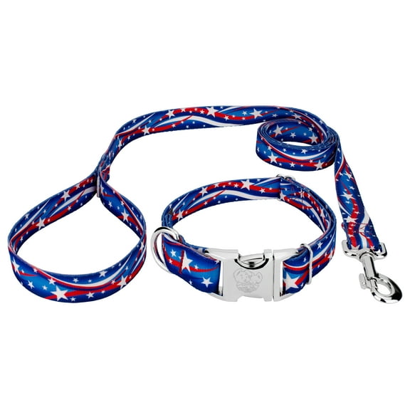 Country Brook Petz® Premium Star Spangled Dog Collar and Leash, Large