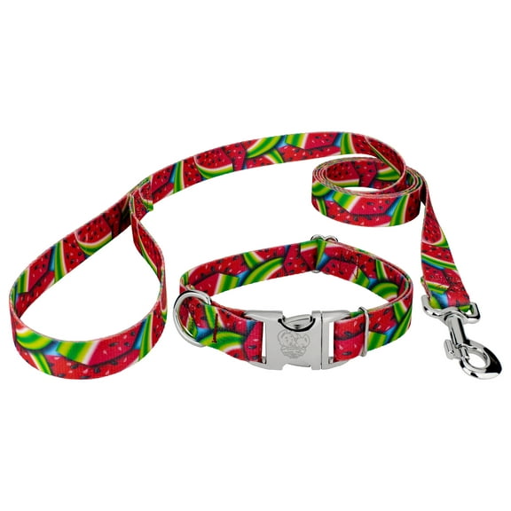 Country Brook Petz® Premium Summer Melon Dog Collar and Leash, Small