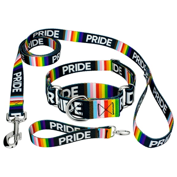Country Brook Petz® Pride Martingale Dog Collar and Leash, Extra Large