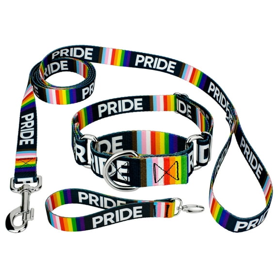 Country Brook Petz® Pride Martingale Dog Collar and Leash, Extra Large
