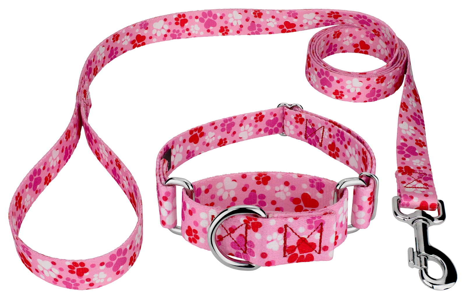 Country Brook Petz® Puppy Love Martingale Dog Collar and Leash, Extra Large