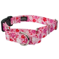 Country Brook Petz® Puppy Love Martingale with Deluxe Buckle, Large