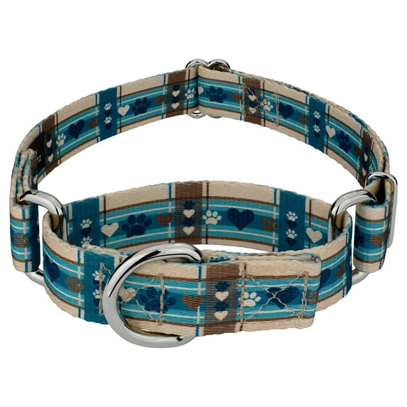 Country Brook Petz® Puppy Picnic Martingale Dog Collar, 2XS