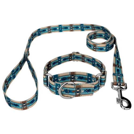 Country Brook Petz® Puppy Picnic Martingale Dog Collar and Leash, 2XS