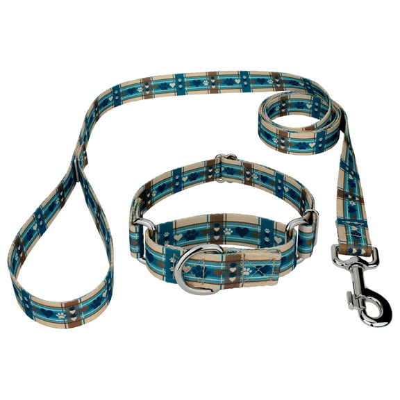 Country Brook Petz® Puppy Picnic Martingale Dog Collar and Leash, Medium