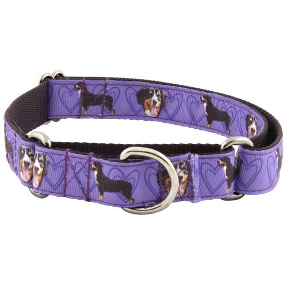 Country Brook Petz® Purple Entlebucher Mountain Dog Ribbon Martingale Dog Collar Limited Edition, Large