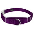 thumbnail image 1 of Country Brook Petz® Purple Heavyduty Nylon Martingale with Premium Buckle, Small, 1 of 6