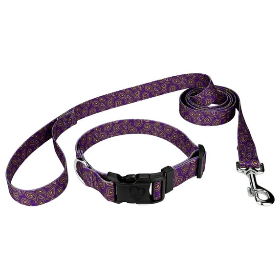 Country Brook Petz® Purple Paisley Everyday Dog Collar and Leash, Large