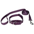 thumbnail image 1 of Country Brook Petz® Purple Paisley Martingale Dog Collar and Leash, 2XS, 1 of 7