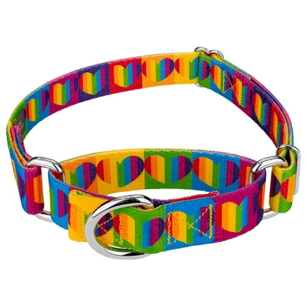Country Brook Petz® Rainbow Hearts Martingale Dog Collar, Extra Small
