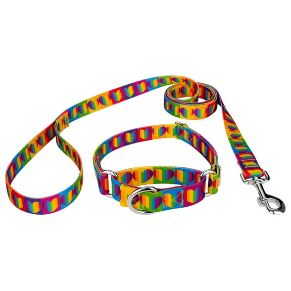 Country Brook Petz® Rainbow Hearts Martingale Dog Collar and Leash, 2XS