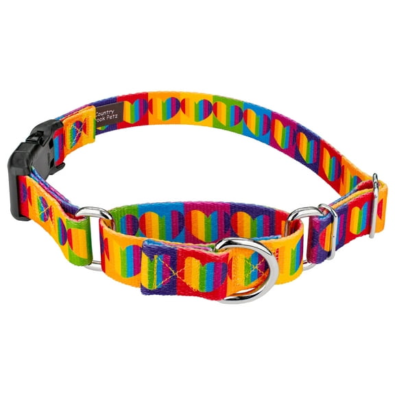 Country Brook Petz® Rainbow Hearts Martingale with Deluxe Buckle Dog Collar, Large