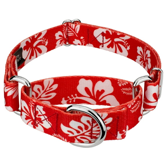 Country Brook Petz® Red Hawaiian Martingale Dog Collar, 2XS