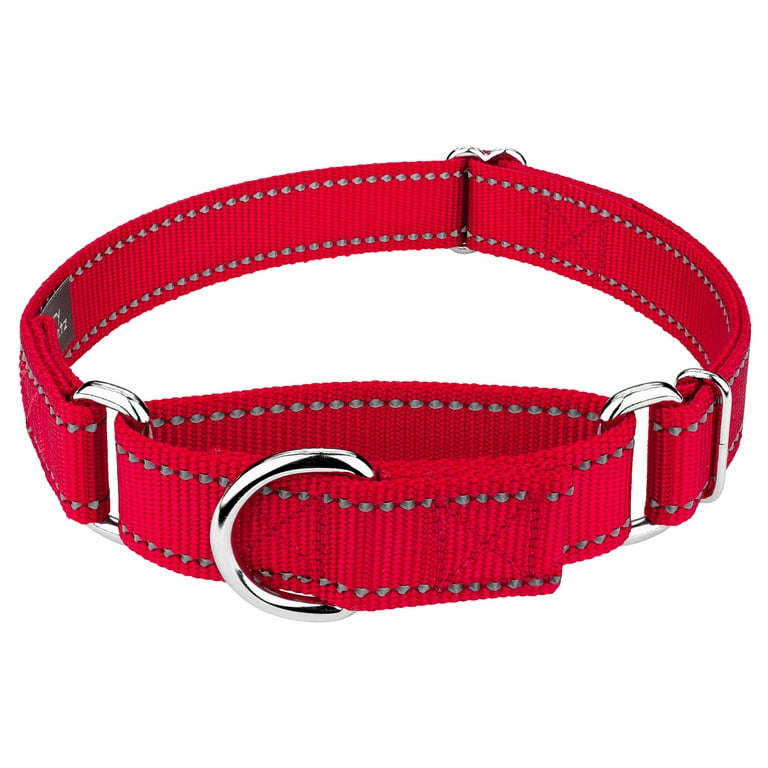 Small dog cheap collars walmart
