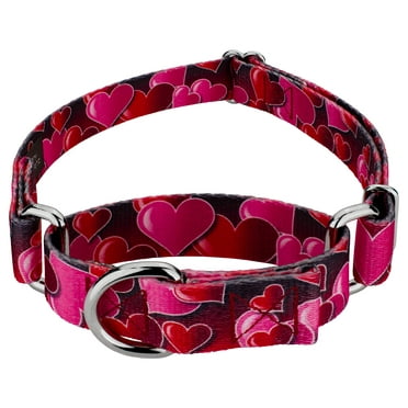 Country Brook Petz® Romantic Hearts Martingale Dog Collar, Medium