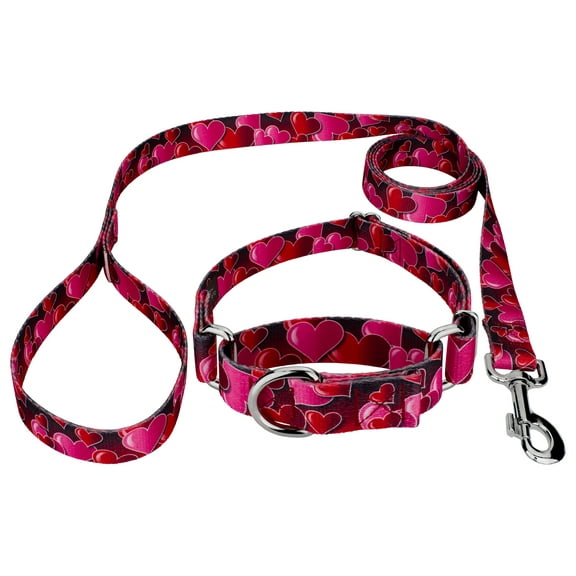 Country Brook Petz® Romantic Hearts Martingale Dog Collar and Leash, Extra Small