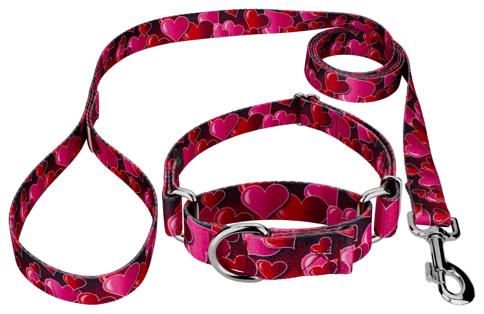 Country Brook Petz® Romantic Hearts Martingale Dog Collar and Leash, Large